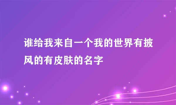 谁给我来自一个我的世界有披风的有皮肤的名字