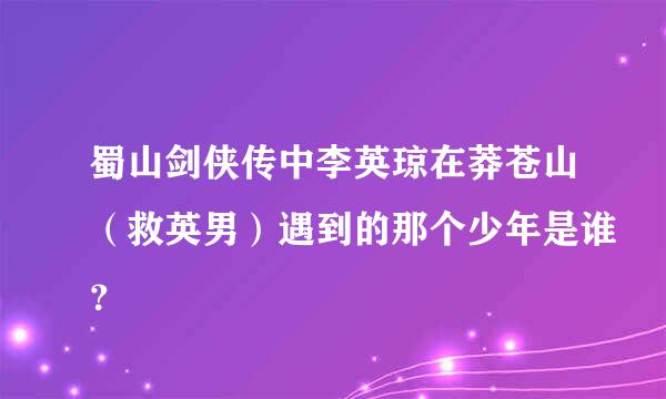 蜀山剑侠传中李英琼在莽苍山（救英男）遇到的那个少年是谁？