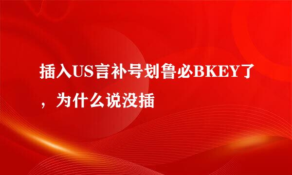 插入US言补号划鲁必BKEY了，为什么说没插