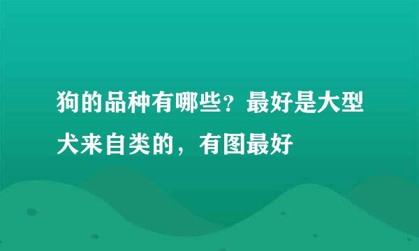 狗的品种有哪些？最好是大型犬来自类的，有图最好