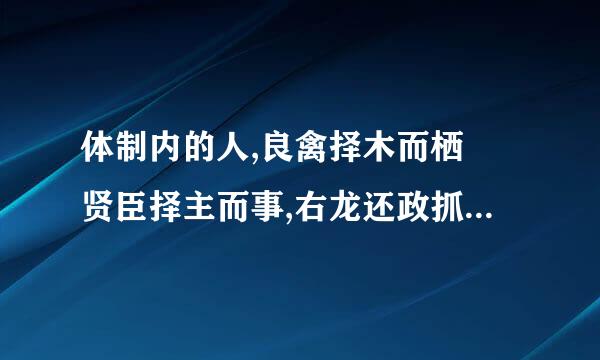 体制内的人,良禽择木而栖 贤臣择主而事,右龙还政抓可能吗?