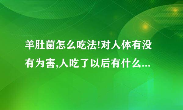 羊肚菌怎么吃法!对人体有没有为害,人吃了以后有什么好处.每天只能吃多少?