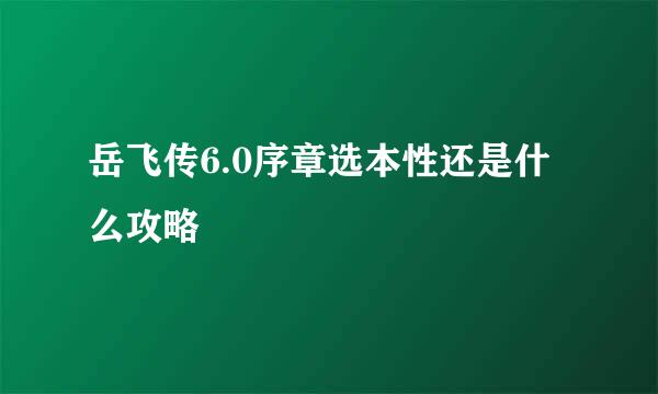 岳飞传6.0序章选本性还是什么攻略