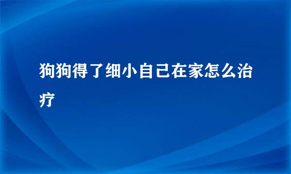 狗狗得了细小自己在家怎么治疗