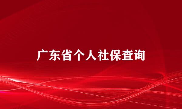 广东省个人社保查询