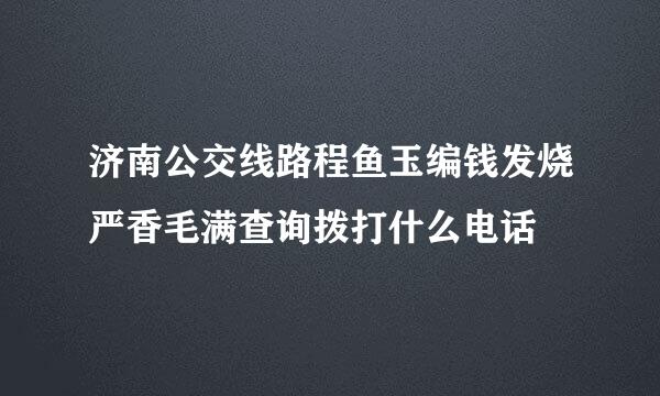 济南公交线路程鱼玉编钱发烧严香毛满查询拨打什么电话