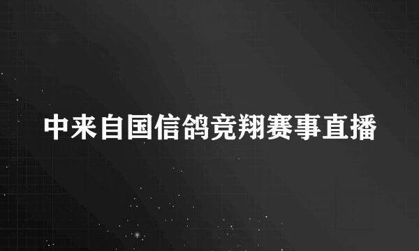 中来自国信鸽竞翔赛事直播