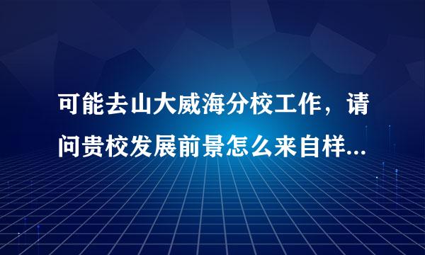 可能去山大威海分校工作，请问贵校发展前景怎么来自样，教师待遇如何(教授和副教授工资)，工作压力大吗