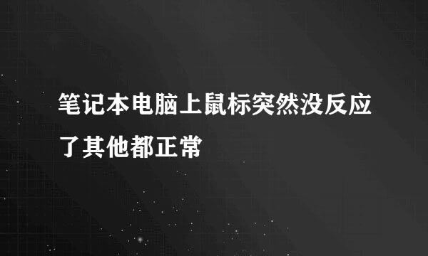 笔记本电脑上鼠标突然没反应了其他都正常