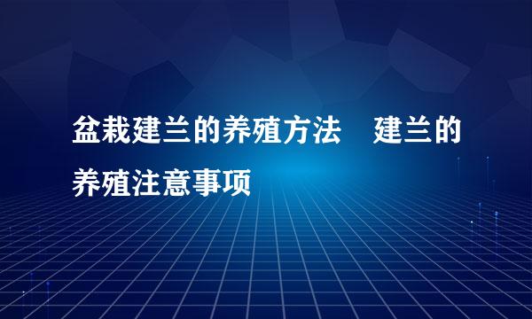 盆栽建兰的养殖方法 建兰的养殖注意事项