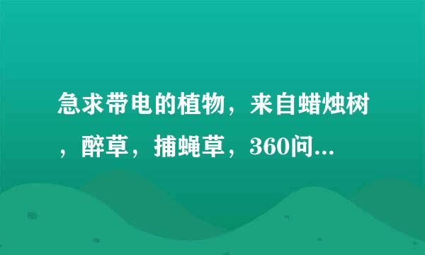 急求带电的植物，来自蜡烛树，醉草，捕蝇草，360问答水笛荷的图片