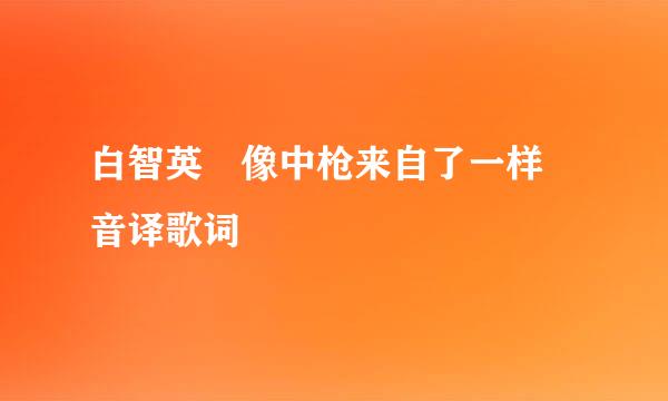 白智英 像中枪来自了一样 音译歌词