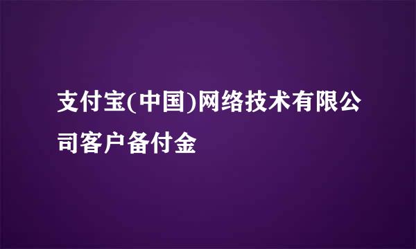 支付宝(中国)网络技术有限公司客户备付金