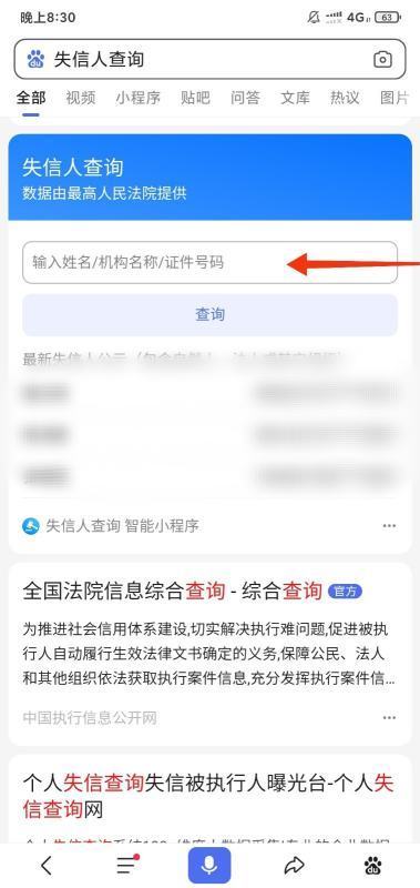 失信人员名单查询系统