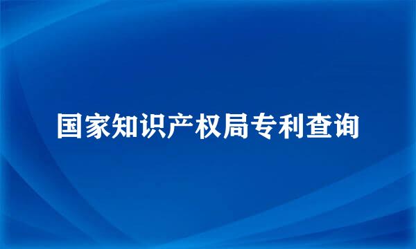 国家知识产权局专利查询