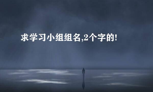 求学习小组组名,2个字的!
