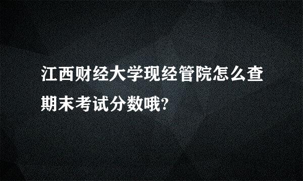 江西财经大学现经管院怎么查期末考试分数哦?