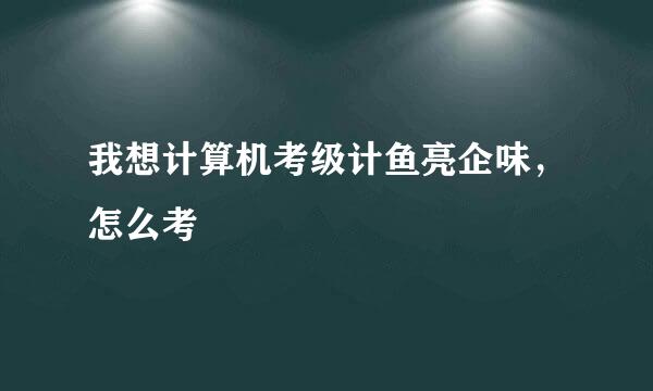 我想计算机考级计鱼亮企味，怎么考