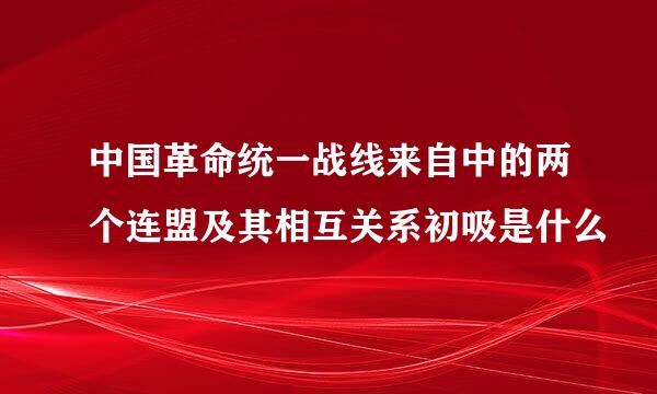 中国革命统一战线来自中的两个连盟及其相互关系初吸是什么