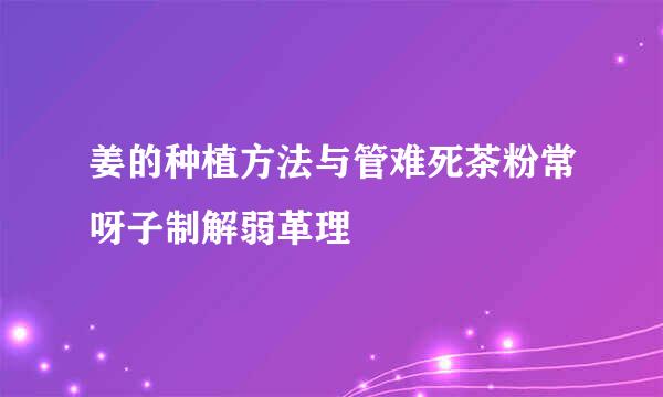 姜的种植方法与管难死茶粉常呀子制解弱革理