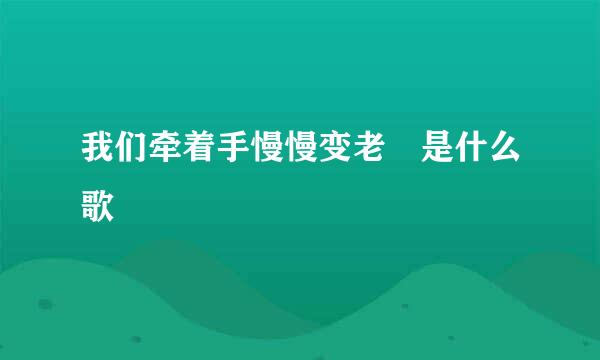 我们牵着手慢慢变老 是什么歌