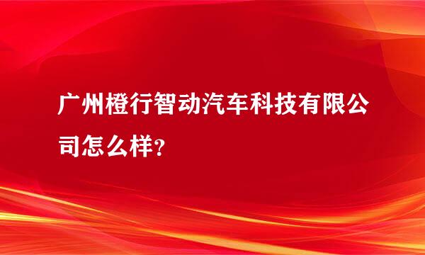 广州橙行智动汽车科技有限公司怎么样？