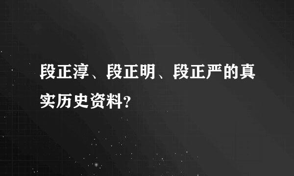 段正淳、段正明、段正严的真实历史资料？