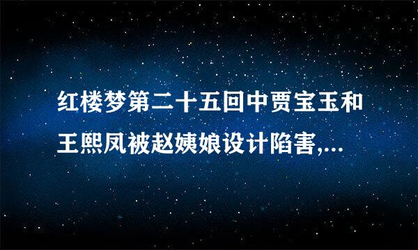 红楼梦第二十五回中贾宝玉和王熙凤被赵姨娘设计陷害,是谁最终救了他们？