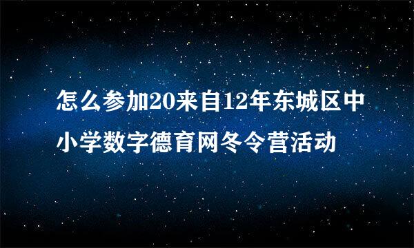 怎么参加20来自12年东城区中小学数字德育网冬令营活动