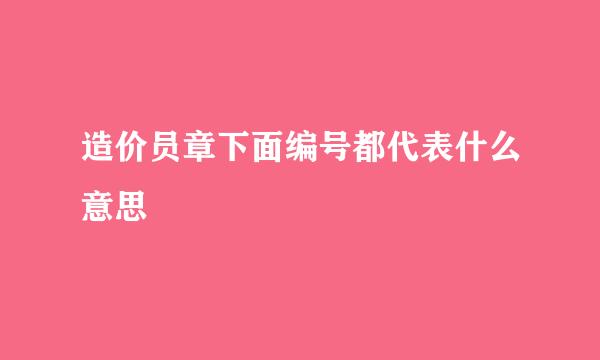 造价员章下面编号都代表什么意思