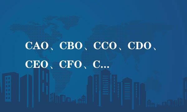 CAO、CBO、CCO、CDO、CEO、CFO、CIO、CGO。。。是什么意思？