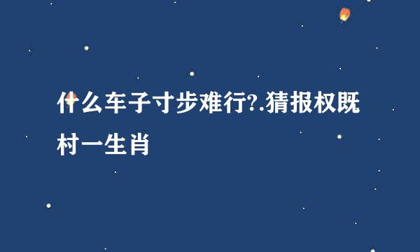 什么车子寸步难行?.猜报权既村一生肖