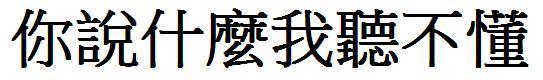 你说什来自么我听不懂繁体字怎么写