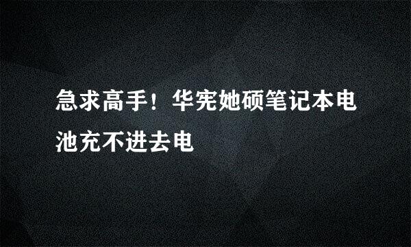 急求高手！华宪她硕笔记本电池充不进去电