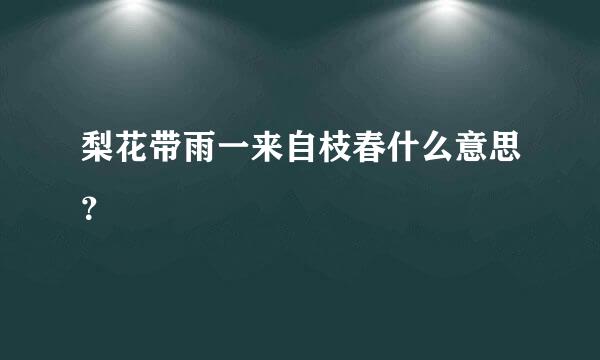 梨花带雨一来自枝春什么意思？