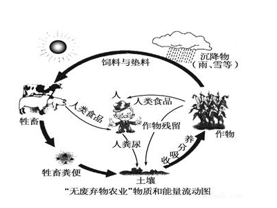 物质循环与能量循环各有什么特点？