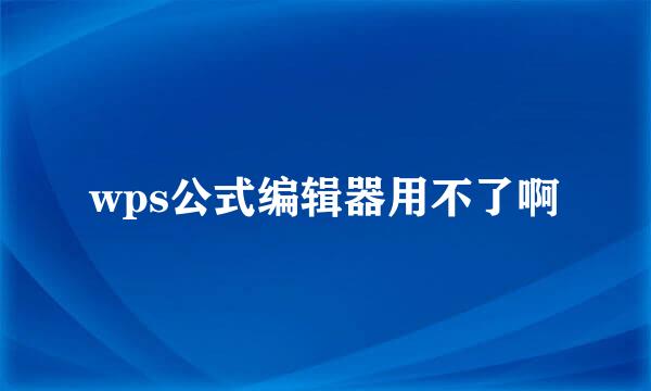 wps公式编辑器用不了啊