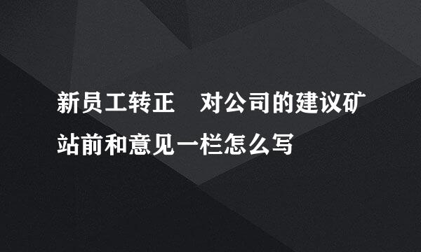 新员工转正 对公司的建议矿站前和意见一栏怎么写