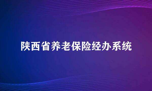 陕西省养老保险经办系统