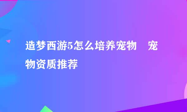 造梦西游5怎么培养宠物 宠物资质推荐