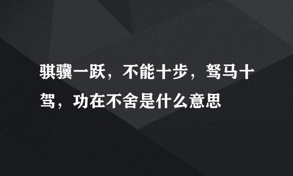 骐骥一跃，不能十步，驽马十驾，功在不舍是什么意思