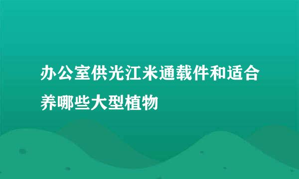 办公室供光江米通载件和适合养哪些大型植物