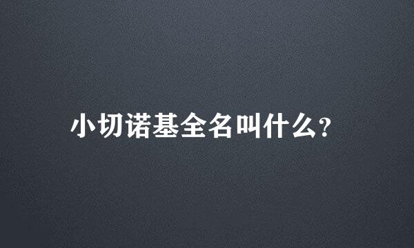 小切诺基全名叫什么？