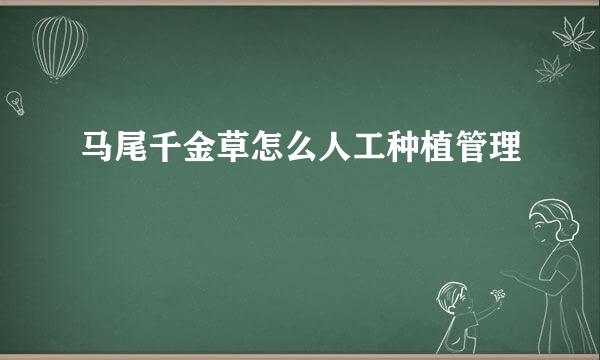 马尾千金草怎么人工种植管理