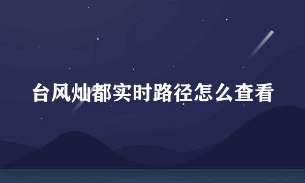 台风灿都实时路径怎么查看