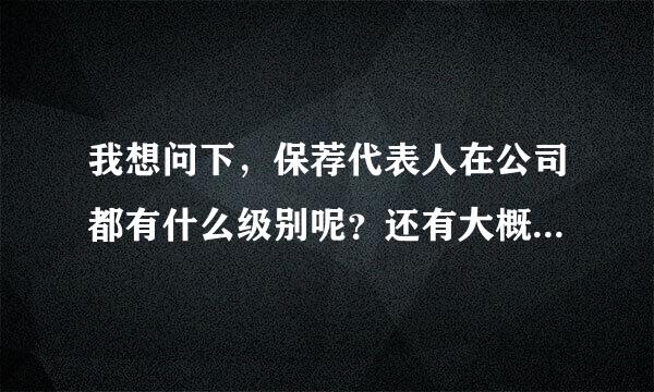 我想问下，保荐代表人在公司都有什么级别呢？还有大概像国信这样的公司一年的收入大概多少呢