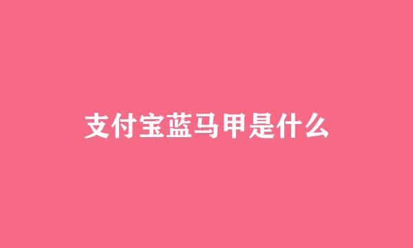 支付宝蓝马甲是什么