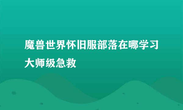 魔兽世界怀旧服部落在哪学习大师级急救