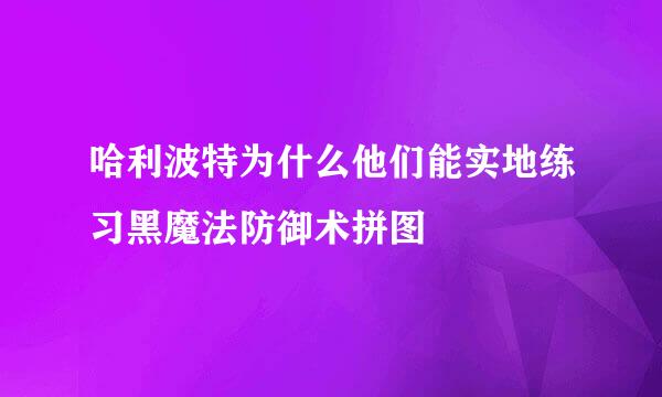 哈利波特为什么他们能实地练习黑魔法防御术拼图