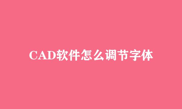 CAD软件怎么调节字体